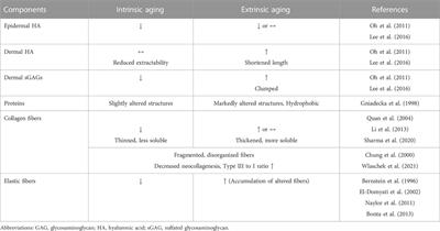 Skin aging from mechanisms to interventions: focusing on dermal aging